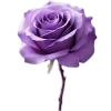 💜 Эмодзи «Lilac Dream» для Telegram