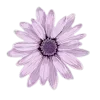 💜 Эмодзи «Lilac Dream» для Telegram