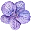 💜 Эмодзи «Lilac Dream» для Telegram