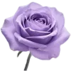 💜 Эмодзи «Lilac Dream» для Telegram