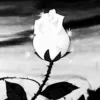 🌟 Эмодзи «愛してます» для Telegram