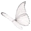 🌟 Эмодзи «愛してます» для Telegram
