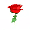 🌹 Эмодзи «Red #color #red #cute #girl» для Telegram