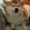 😁 Эмодзи «Lol» для Telegram