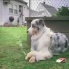 😞 Эмодзи «Lol» для Telegram