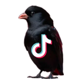 🐦 Стикер «Logo4» для Telegram