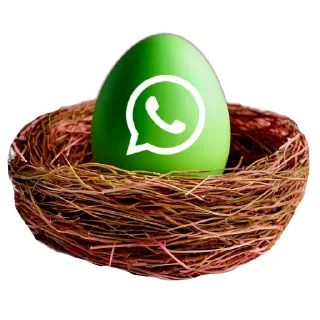 🍲 Стикер «Logo4» для Telegram