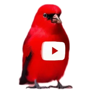 🐦 Стикер «Logo4» для Telegram