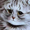 😏 Эмодзи «Louis Wain Cats» для Telegram