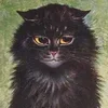🌚 Эмодзи «Louis Wain Cats» для Telegram