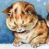 😴 Эмодзи «Louis Wain Cats» для Telegram