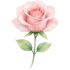 🌹 Эмодзи «Love» для Telegram