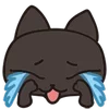 😭 Эмодзи «😍 Cats - котики парный черный и белый» для Telegram
