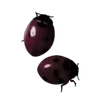 🫗 Эмодзи «Red Crest ‌ ‌» для Telegram