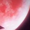 ♦️ Эмодзи «Luna Kindred» для Telegram
