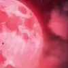 🌟 Эмодзи «Luna Kindred» для Telegram