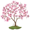 🌸 Эмодзи «Любимая Весна» для Telegram