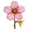 🌸 Эмодзи «Любимая Весна» для Telegram