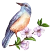 🌸 Эмодзи «Любимая Весна» для Telegram