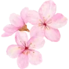🌸 Эмодзи «Любимая Весна» для Telegram