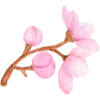 🌸 Эмодзи «Любимая Весна» для Telegram