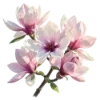 🌸 Эмодзи «Любимая Весна» для Telegram
