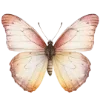 🦋 Эмодзи «Любимая Весна» для Telegram