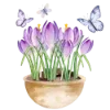 🌷 Эмодзи «Любимая Весна» для Telegram