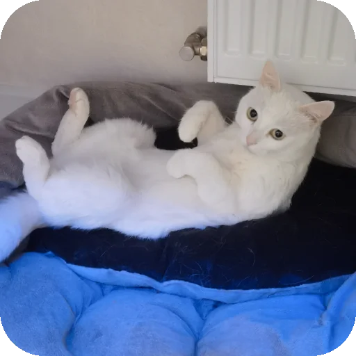 👍 Стикер «МАРГОША И МАРС» для Telegram