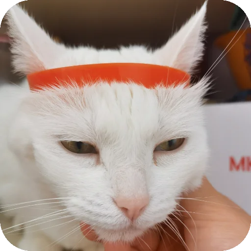 👍 Стикер «МАРГОША И МАРС» для Telegram