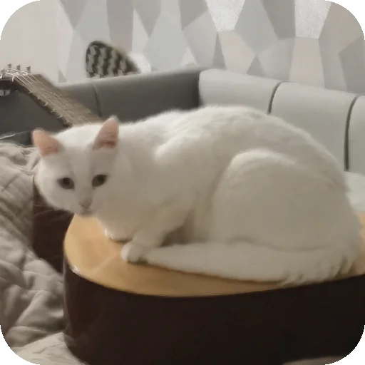👍 Стикер «МАРГОША И МАРС» для Telegram