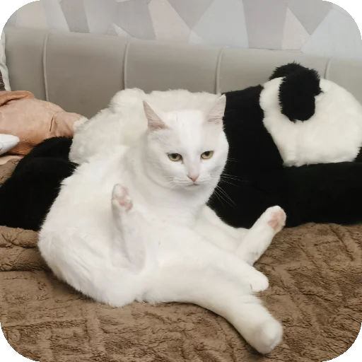 👍 Стикер «МАРГОША И МАРС» для Telegram