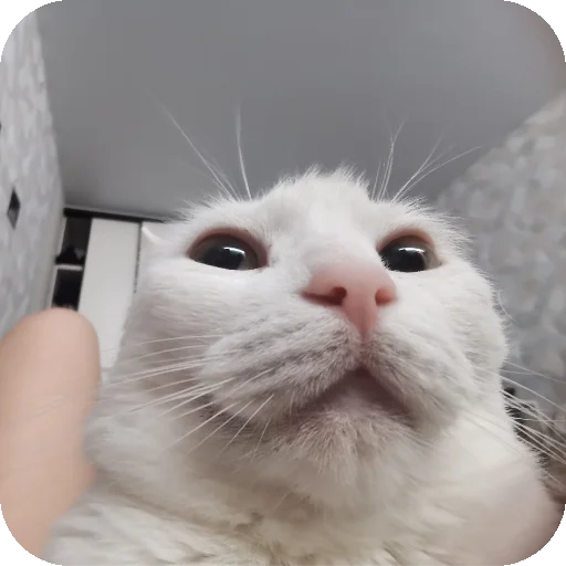👍 Стикер «МАРГОША И МАРС» для Telegram