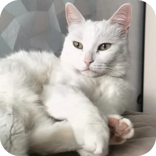 👍 Стикер «МАРГОША И МАРС» для Telegram