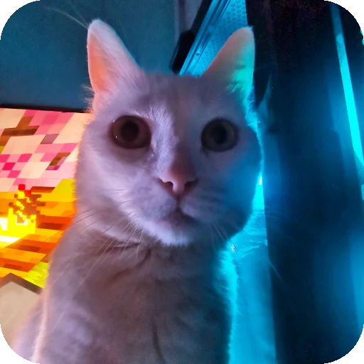 👍 Стикер «МАРГОША И МАРС» для Telegram