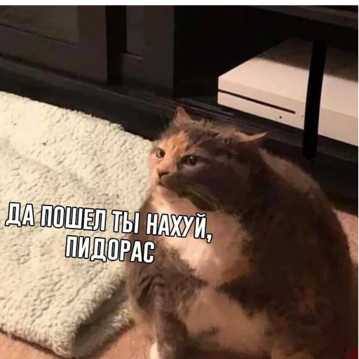 🤬 Стикер «Eeeee"Boy» для Telegram