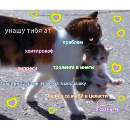 ❤️ Стикер «Eeeee"Boy» для Telegram