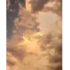 🌟 Эмодзи «Монеточка - два набора» для Telegram