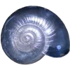 🐚 Эмодзи «Trip» для Telegram