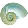 🐚 Эмодзи «Trip» для Telegram