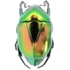 🪲 Эмодзи «Green» для Telegram
