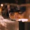 😒 Эмодзи «Mad Max» для Telegram