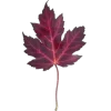 🤩 Эмодзи «Mahakaruna Autumn» для Telegram