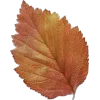 🤩 Эмодзи «Mahakaruna Autumn» для Telegram