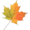 🍁 Эмодзи «Mahakaruna Autumn» для Telegram