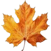 🍁 Эмодзи «Mahakaruna Autumn» для Telegram