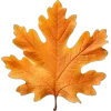 🤩 Эмодзи «Mahakaruna Autumn» для Telegram