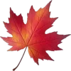 🤩 Эмодзи «Mahakaruna Autumn» для Telegram