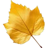 🤩 Эмодзи «Mahakaruna Autumn» для Telegram
