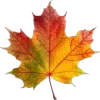 🤩 Эмодзи «Mahakaruna Autumn» для Telegram